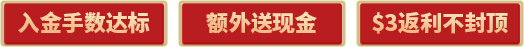 banner文字2