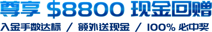 描述